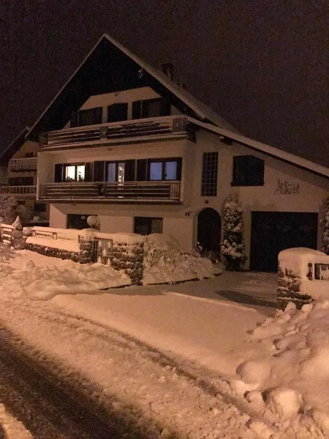 Apartman Bosco Ravna Gora 0*,