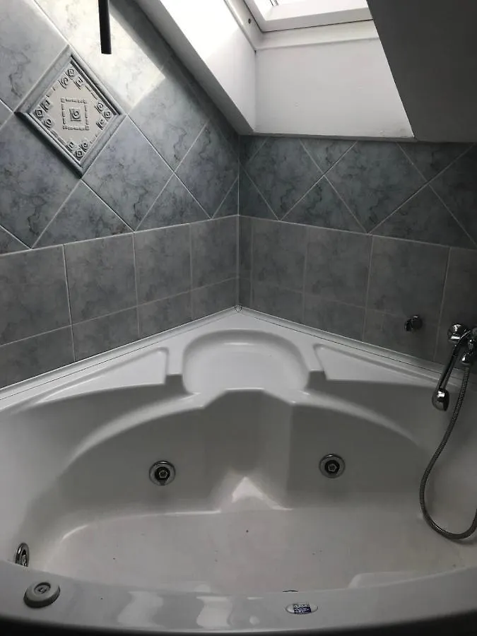 Apartman Bosco Ravna Gora Apartment