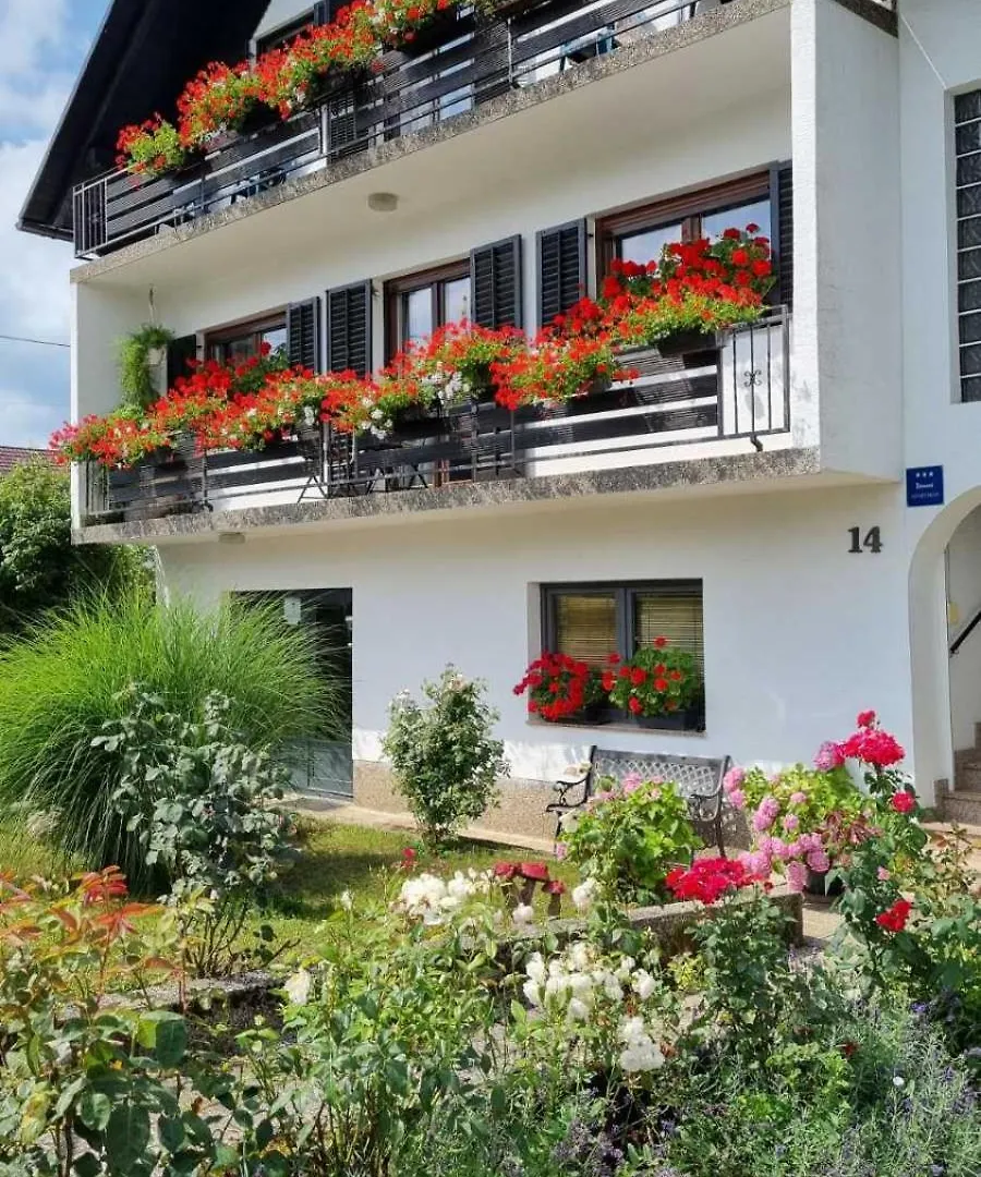 Apartman Bosco contacts